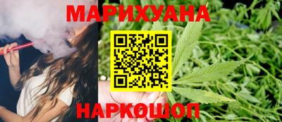 сатива Нальчик