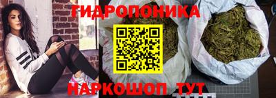 сатива Нальчик
