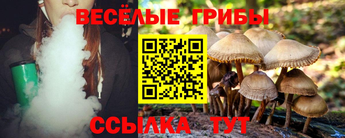 Псилоцибиновые грибы Cubensis  Галлюциногенные грибы Psilocybine cubensis  Вход с VPN  Усинск 